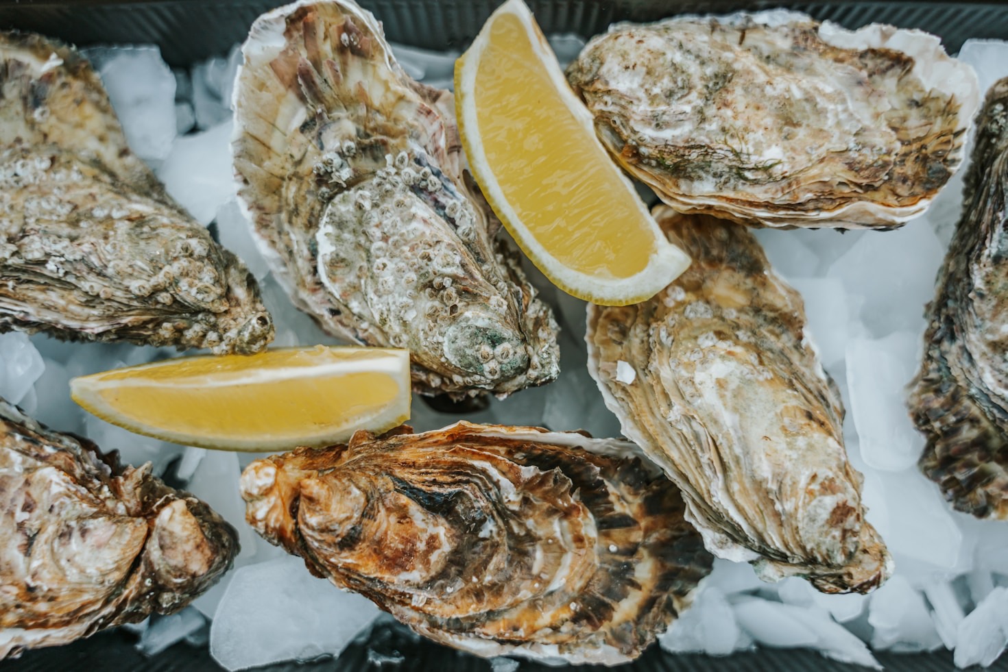 Key Challenges and Solutions in Food Exporting